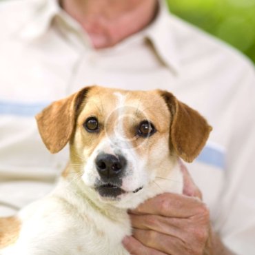 Free or Low-Cost Webinars for Caregivers of Veterans